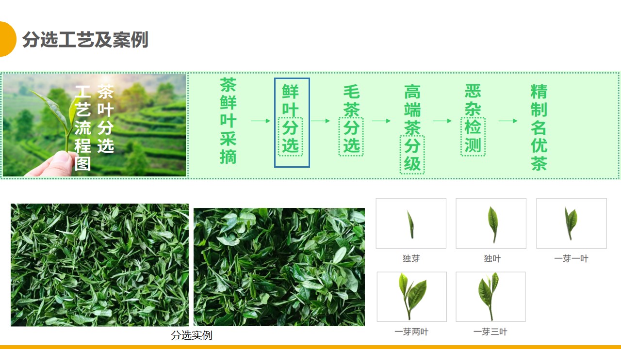 http://m.wuliu123.com.cn/Upload/ueditor/1681280335278777.jpg