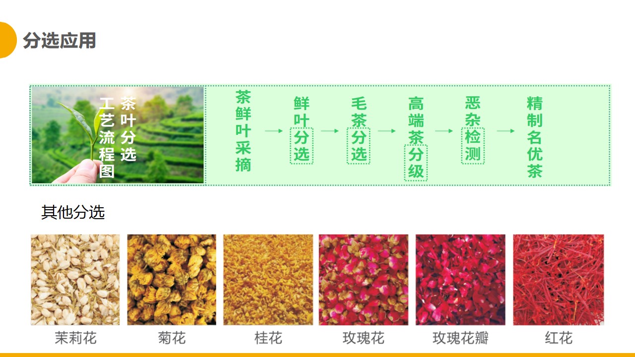 http://m.wuliu123.com.cn/Upload/ueditor/1681365602994585.jpg