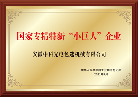 38-國家專(zhuān)精特新“小巨人”企業(yè)